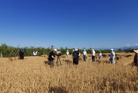 《追趕超越譜新篇》 陜西廣電理論節目創新表達的探索與實踐